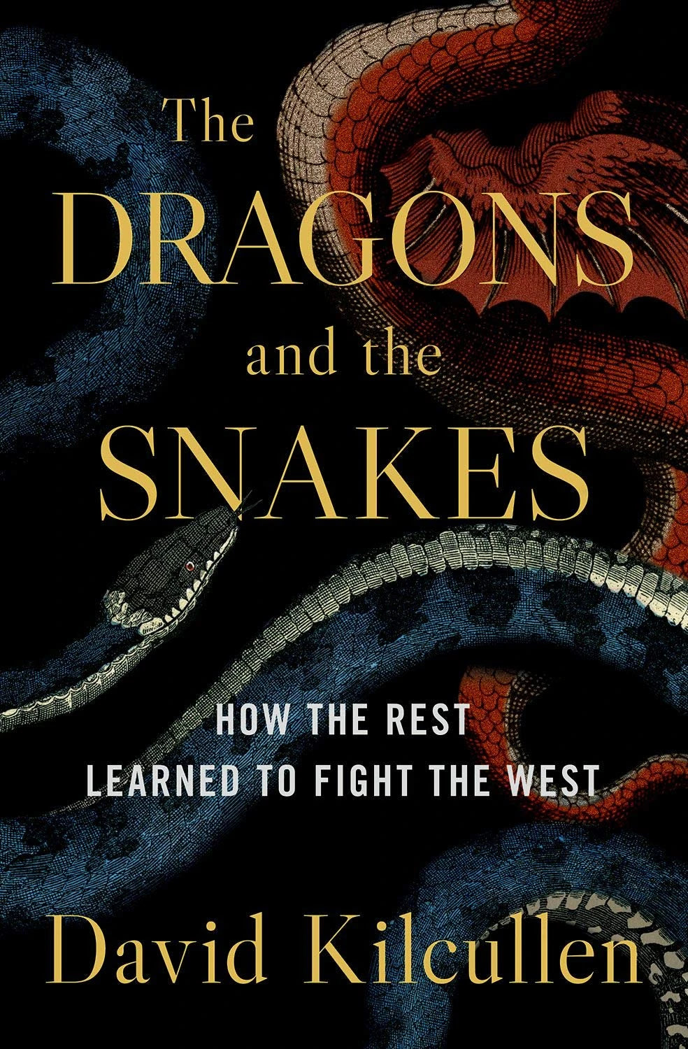 The Dragons and the Snakes by David Kilcullen